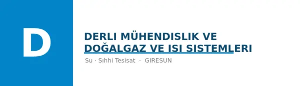 Derli Mühendislik ve Doğalgaz Ve Isı Sistemleri - Firma logosu