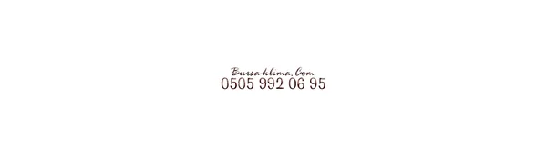 Bursa Tekniker Servis - Firma logosu