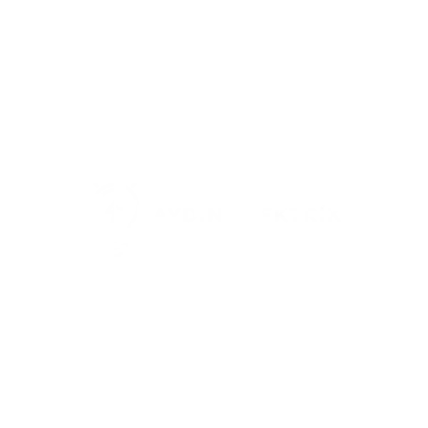 Aydın Elektrikçi - Firma logosu