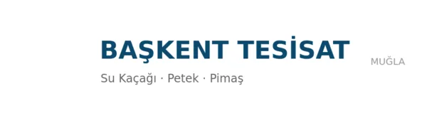 Başkent Tesisat - Firma logosu