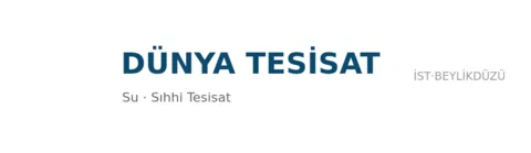 Dünya Tesisat profil fotoğrafı