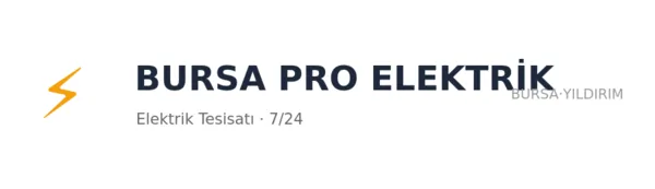 Bursa Pro Elektrik - Firma logosu