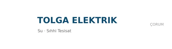 Tolga elektrik - Firma logosu