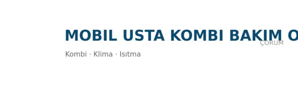 Mobil Usta Kombi Bakım Onarım Merkezi - Firma logosu