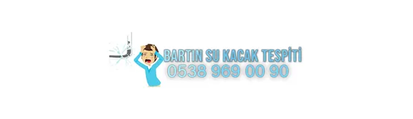 Bartın Sihhi Tesisat ve Su Kaçak Tespiti - Firma logosu