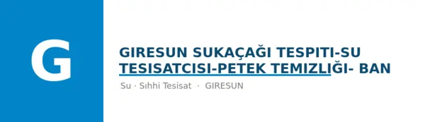 Giresun SuKaçağı Tespiti-Su tesisatcısı-Petek Temizliği- Ban - Firma logosu
